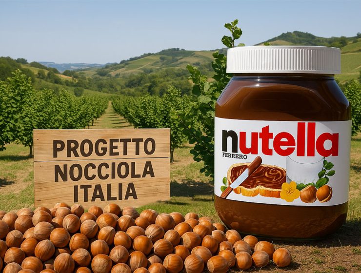 Ferrero 100mila tonnellate di nocciole