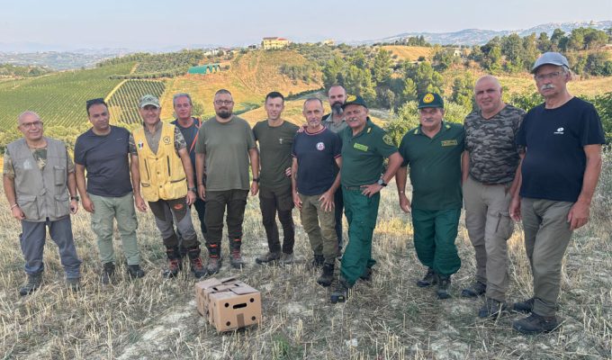 Ripopolamento faunistico Pescara Italcaccia