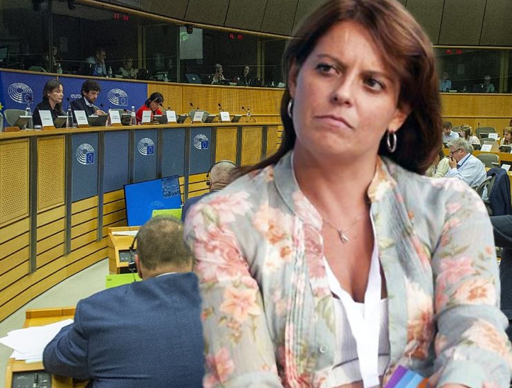 Il caso Ilaria Salis