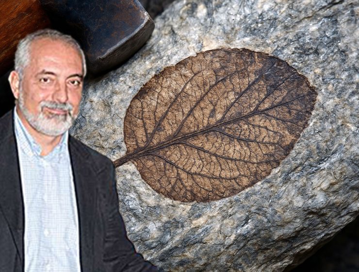 Fossili sotto il mantello terrestre