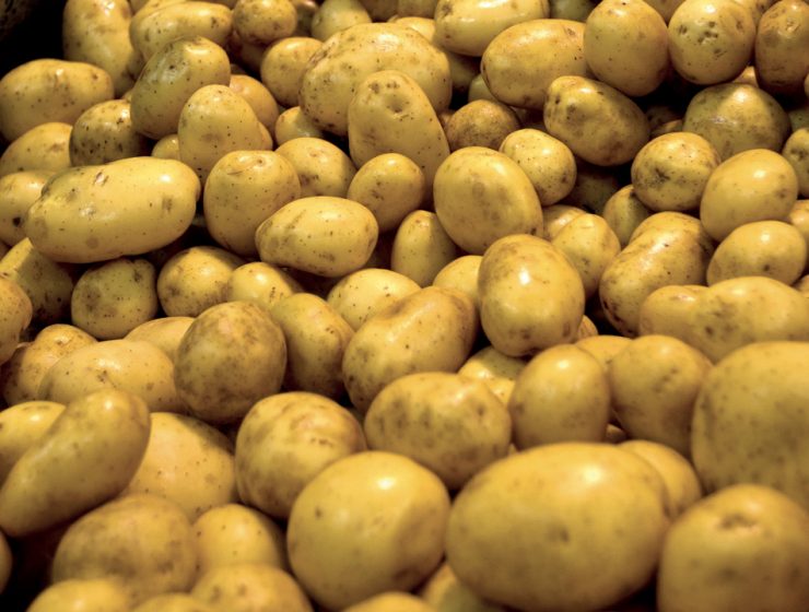 Patata del Fucino IGP