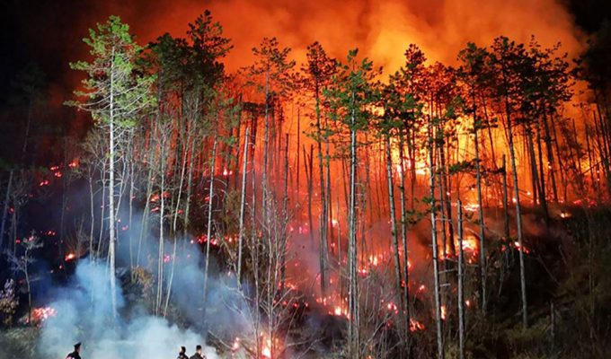 Incendi boschivi e degrado del suolo