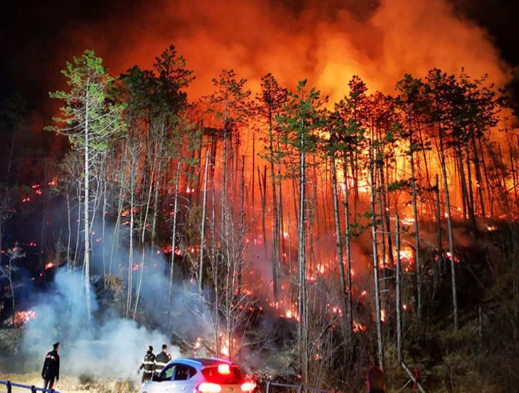 Incendi boschivi e degrado del suolo