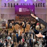 Merano WineFestival 2025 successo