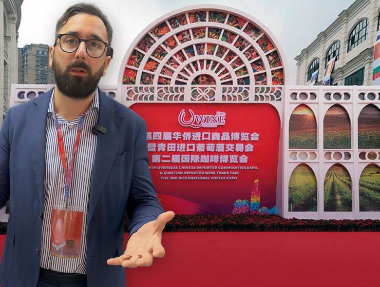 Q-Wine Expo di Qingtian