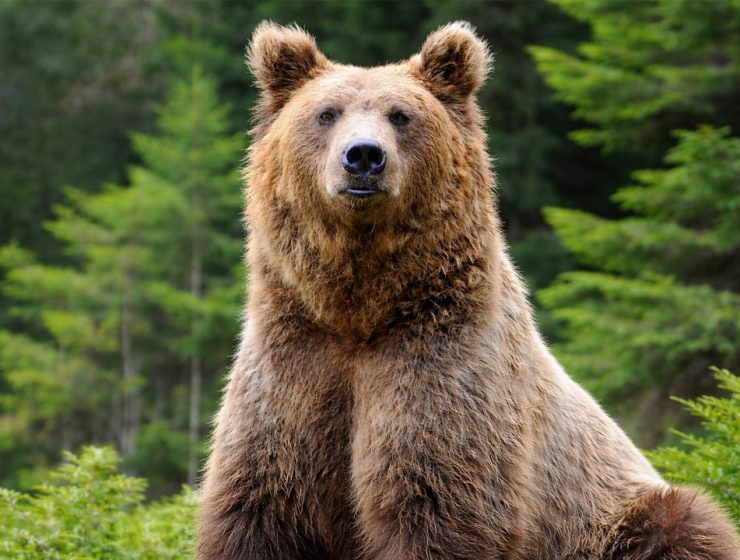 Riserve di caccia profitto