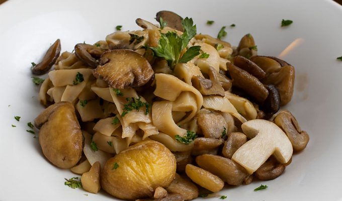 sagne funghi porcini castagne