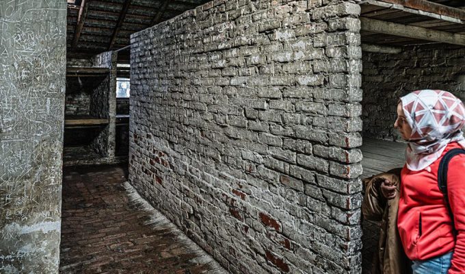 mostra Mauro Vitale Spoltore