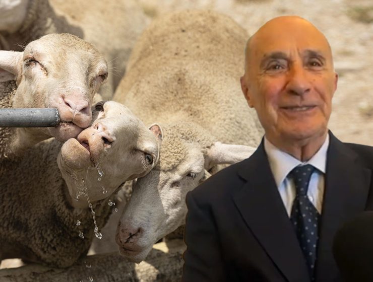 Donato Natale Obiettivo Acqua