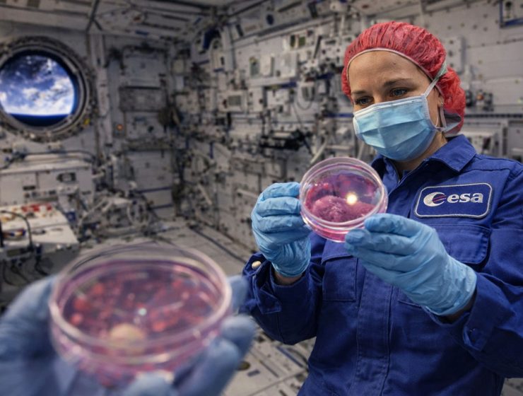 Ingegneria biomedica Università d’Annunzio