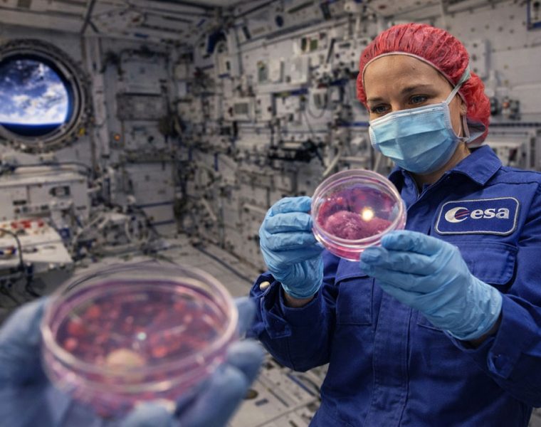 Ingegneria biomedica Università d’Annunzio