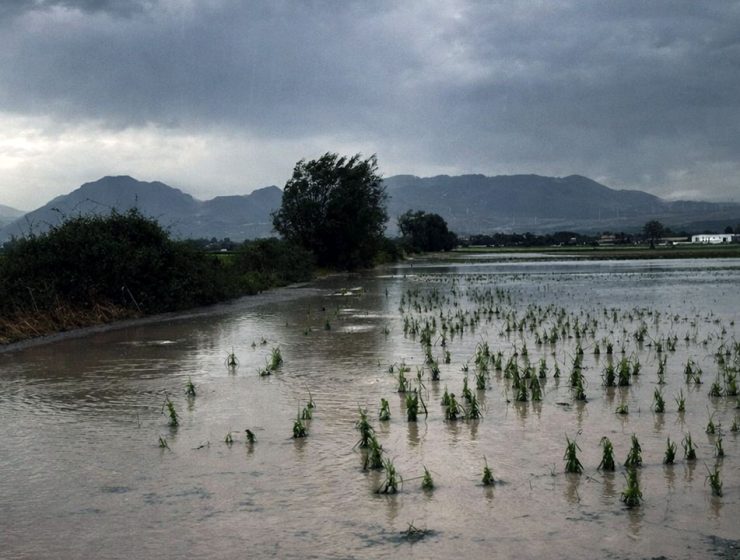 maltempo Abruzzo danni agricoltura