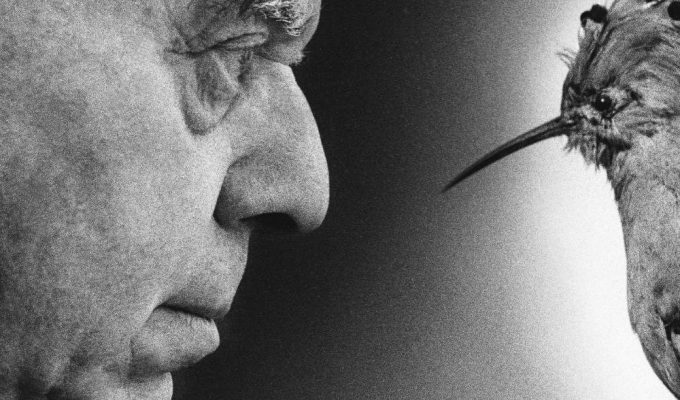 centenario Montale Ossi Savona ritratto poeta con uccello simbolico