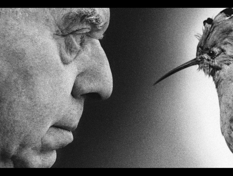 centenario Montale Ossi Savona ritratto poeta con uccello simbolico