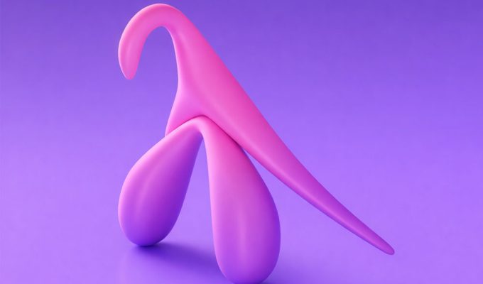 mappa 3D clitoride anatomia femminile modello scientifico dettagliato