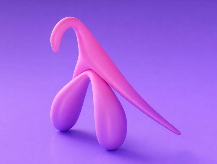 mappa 3D clitoride anatomia femminile modello scientifico dettagliato